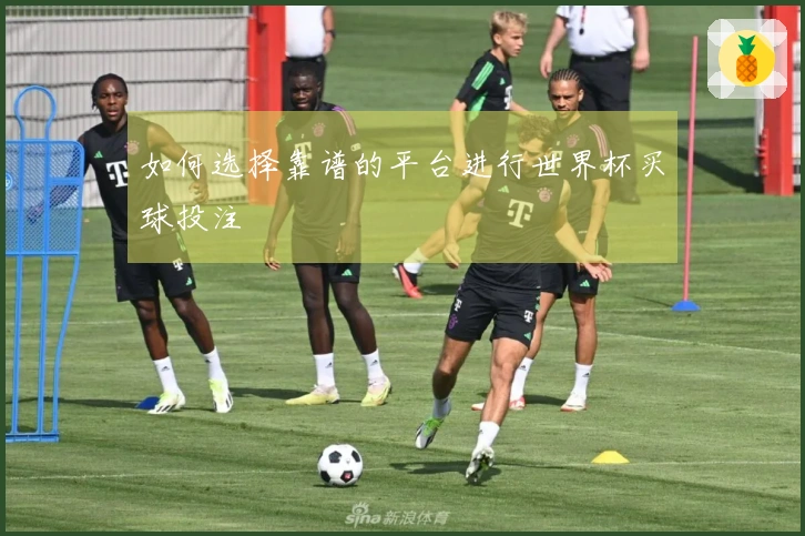 如何选择靠谱的平台进行世界杯买球投注