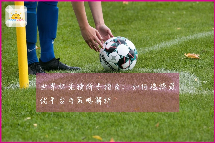 世界杯竞猜新手指南：如何选择最优平台与策略解析